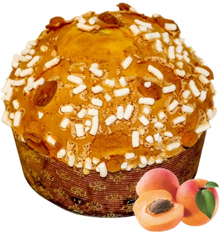 Aprikosen Panettone